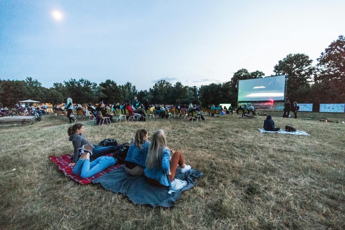 Illustration de l'événement : Les Nuits de la Saline - Cinéma Plein air