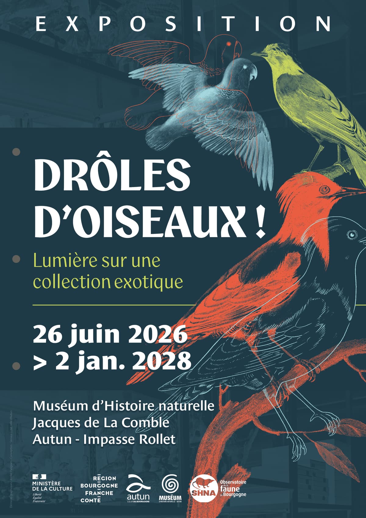 Illustration de l'événement : Exposition "Drôles d'oiseaux : lumière sur une collection exotique"