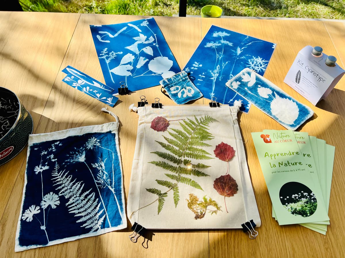 Illustration de l'événement : Atelier nature : Herbier cyanotype