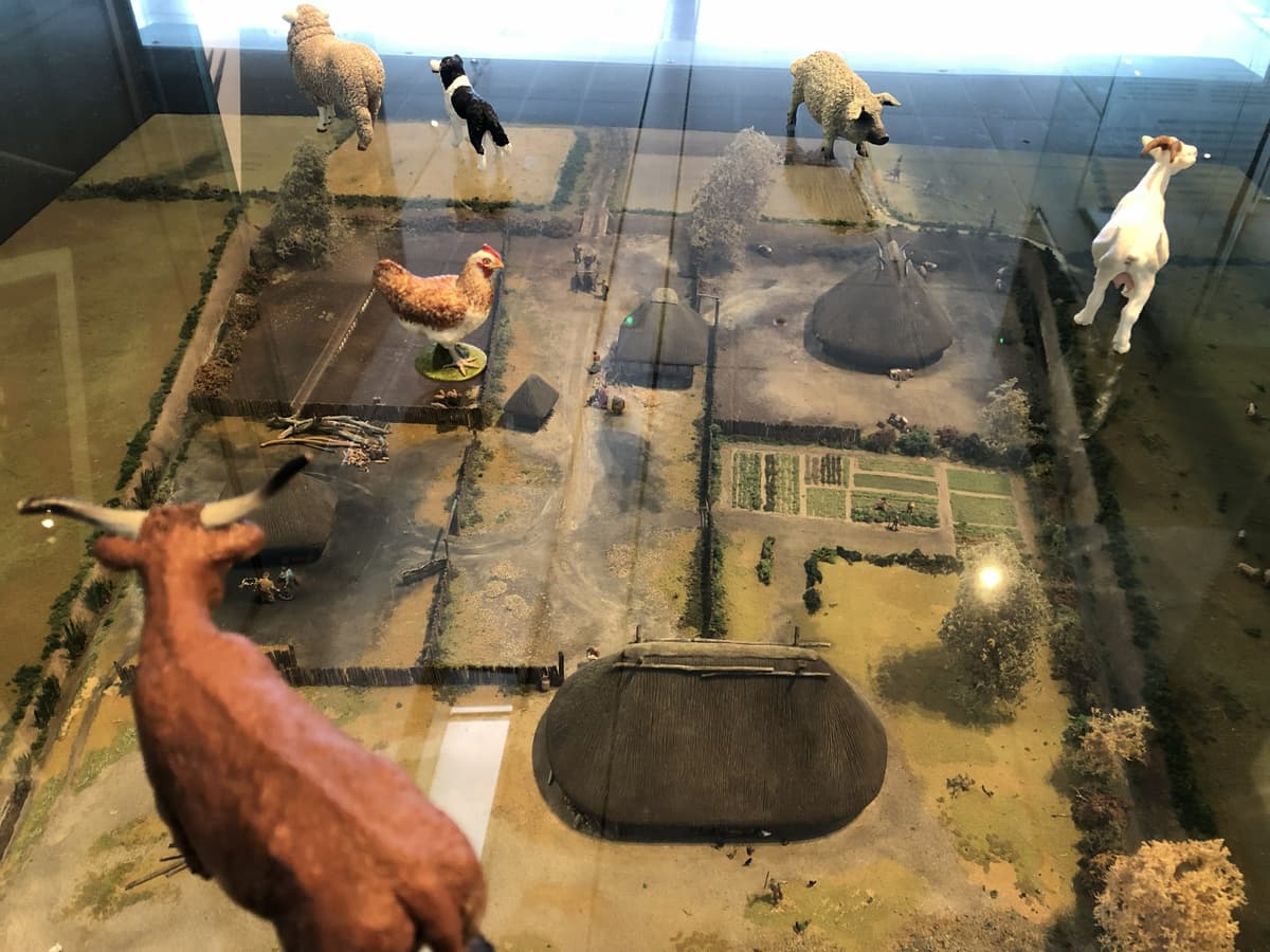 Illustration de l'événement : Musée décalé, une visite famille à Bibracte
