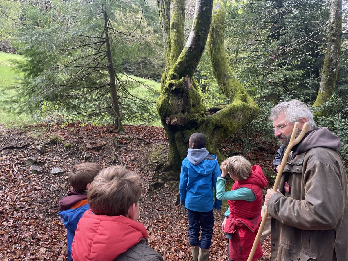 Illustration de l'événement : A l'assaut du Moussu ! Visite de la forêt du Beuvray réservée aux enfants.