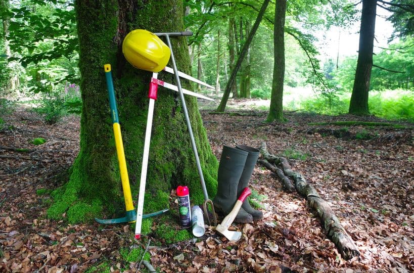 Illustration de l'événement : Dans la peau d'un forestier - Samedi 8 août