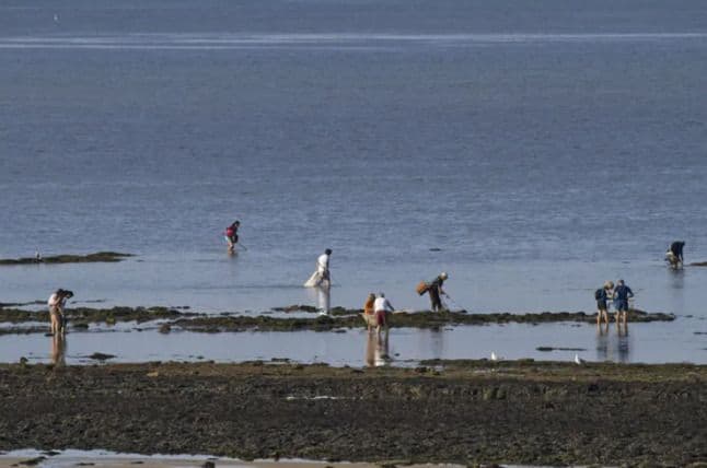 Illustration de l'événement : Journée nationale de comptage des pêcheurs à pied