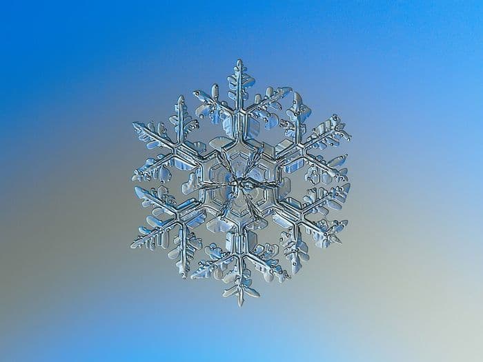 Illustration de l'événement : Des flocons par milliers