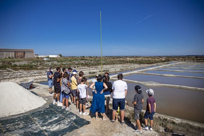Illustration de l'événement : Visites couplées musée-saline - « Du musée au marais »