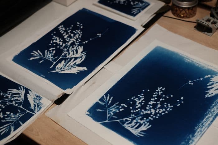 Illustration de l'événement : Atelier cyanotype