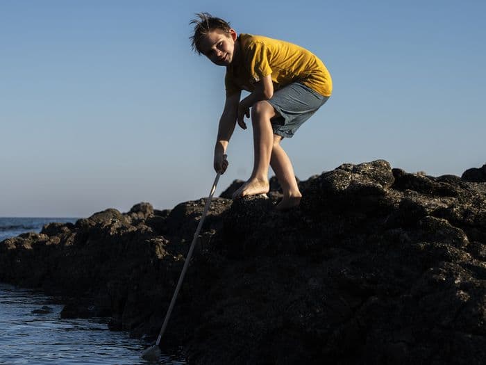 Illustration de l'événement : Initiation à la pêche à pied