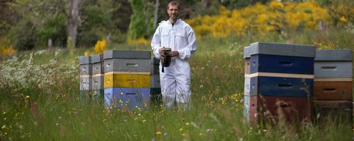 Illustration de l'événement : Partez à la découverte du monde des abeilles et du métier d'apiculteur à la Miellerie des Séquoias