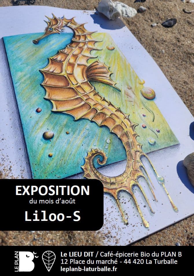 Illustration de l'événement : Exposition d'Aout : Liloo-S