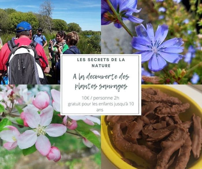 Illustration de l'événement : Les secrets de la nature