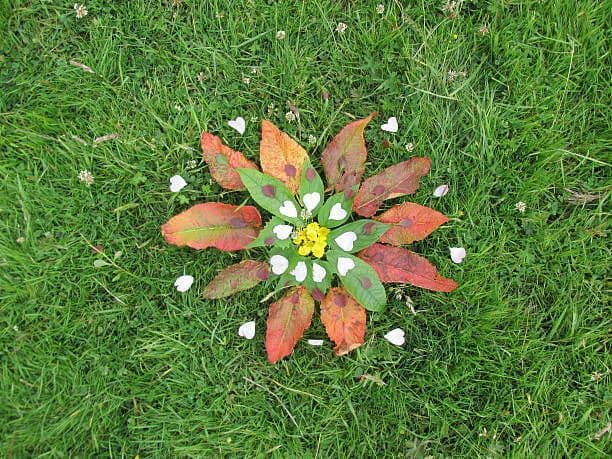 Illustration de l'événement : Atelier Magic légumes avec Jeux Demain Collectif