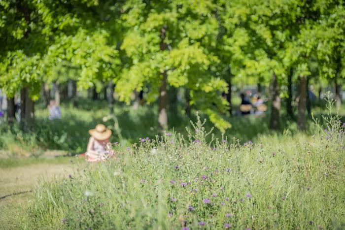 Illustration de l'événement : Bordeaux Rive droite, du jardin botanique à la caserne Niel