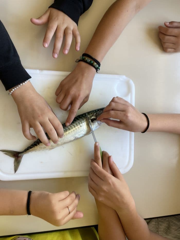 Illustration de l'événement : Atelier DIY Poisson pané