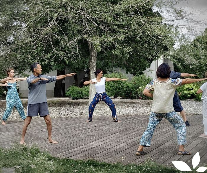 Illustration de l'événement : Qi Gong en plein air