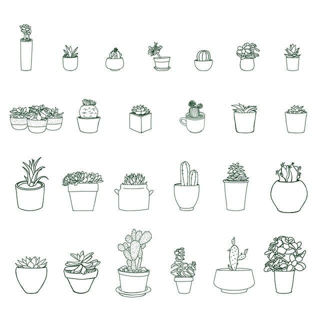 Illustration de l'événement : Troc aux plantes