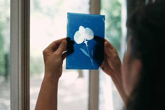 Illustration de l'événement : Initation au cyanotype sur verre