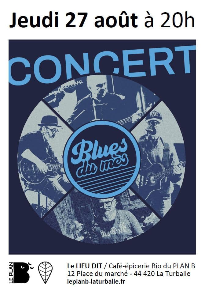 Illustration de l'événement : Concert : Blues du Mès