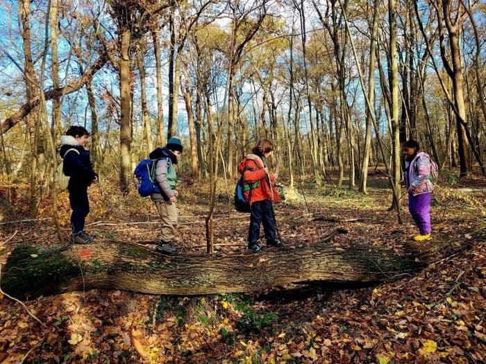 Illustration de l'événement : "Mercredi j'ai forêt !" à Saint-Germain-en-Laye