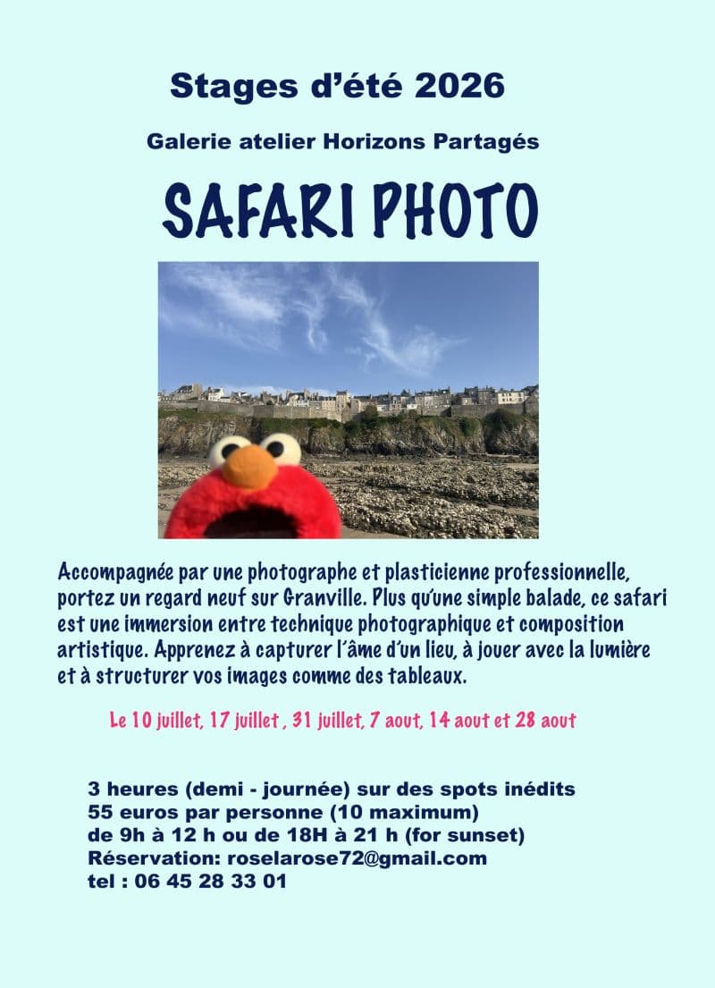 Illustration de l'événement : Stage d'été - Safari photo