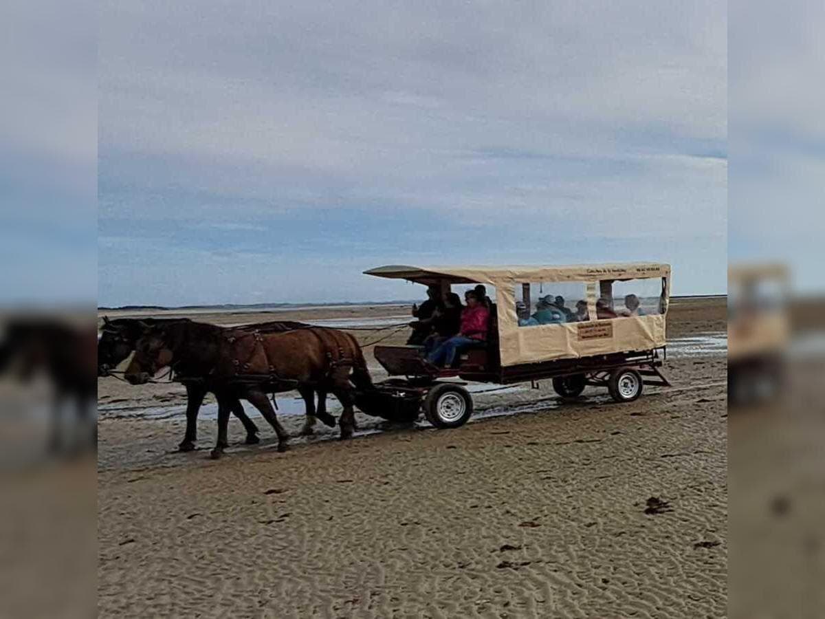 Illustration de l'événement : Découverte de la Pêcherie "La Maillard" en calèche