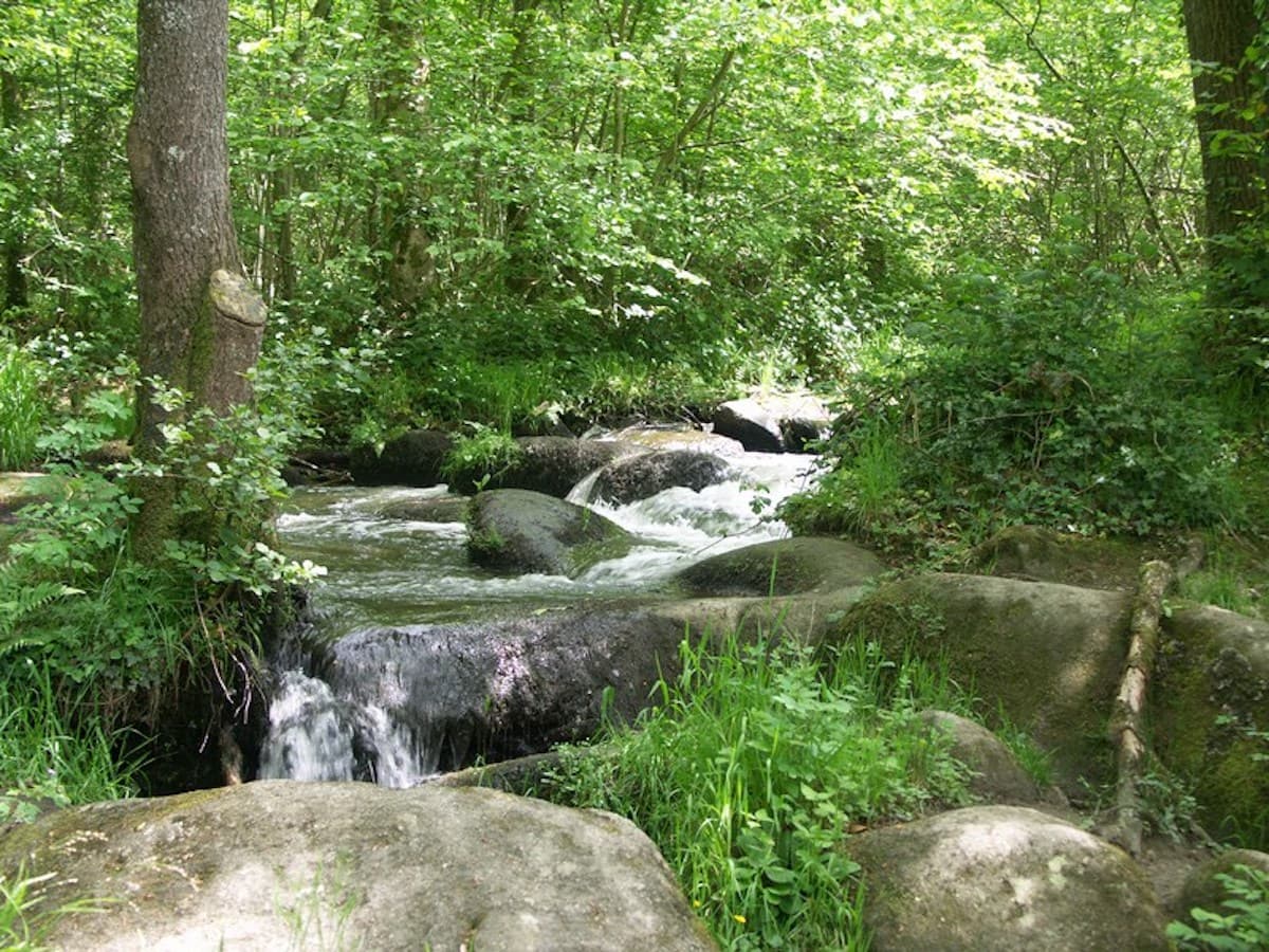 Illustration de l'événement : Contes au bruit des cascades