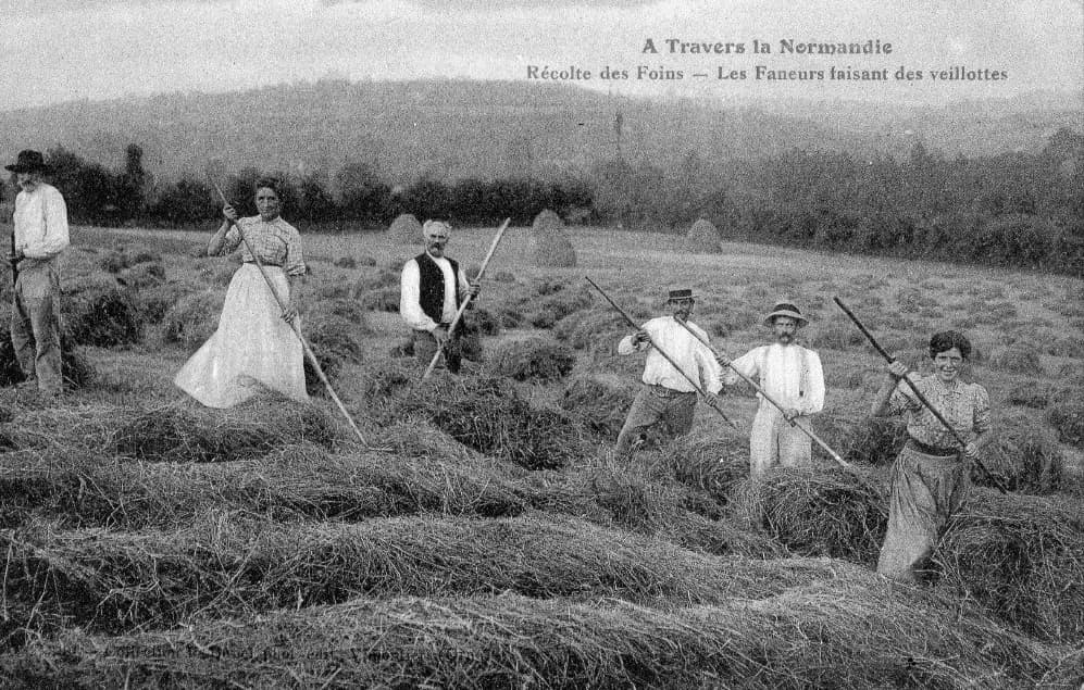 Illustration de l'événement : Les conférences d’histoire locale, la vie dans nos campagnes du Cotentin 5/5 : "Foins et moissons"