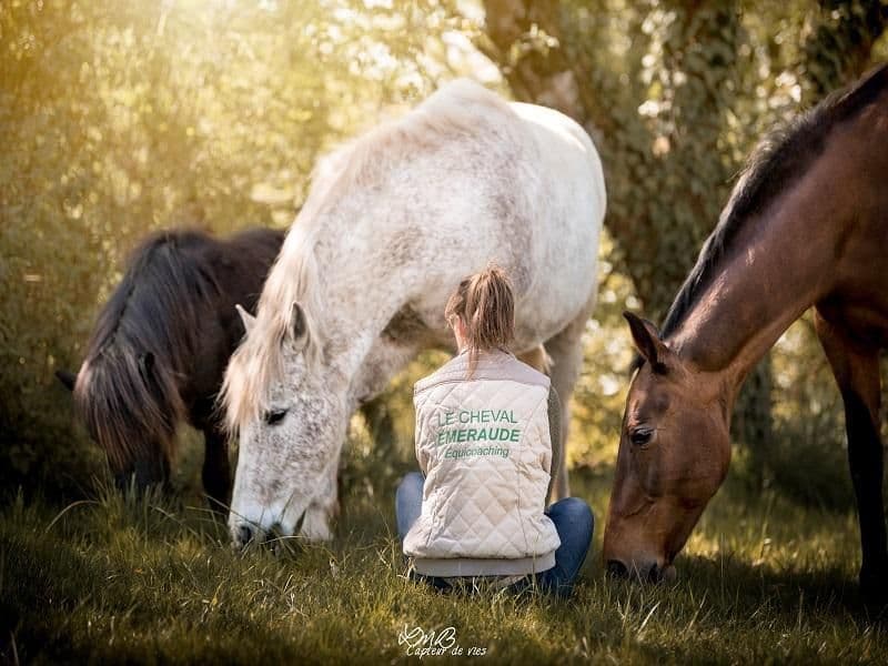 Illustration de l'événement : Vacances d'été au Cheval Emeraude