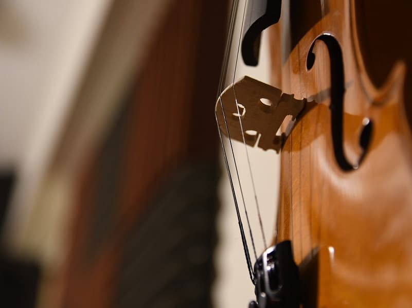 Illustration de l'événement : Duo Violoncelle et Accordéon : Voyage au cœur de la Grande Europe