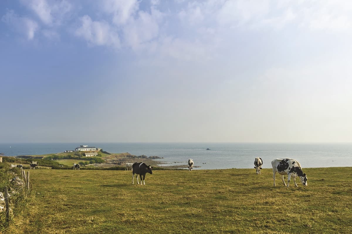 Illustration de l'événement : Visite guidée : La pointe de Jardeheu vue par un géologue