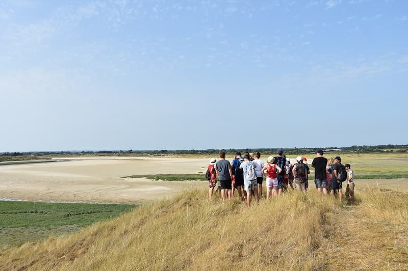 Illustration de l'événement : Sortie nature : Traversée du havre de Surville