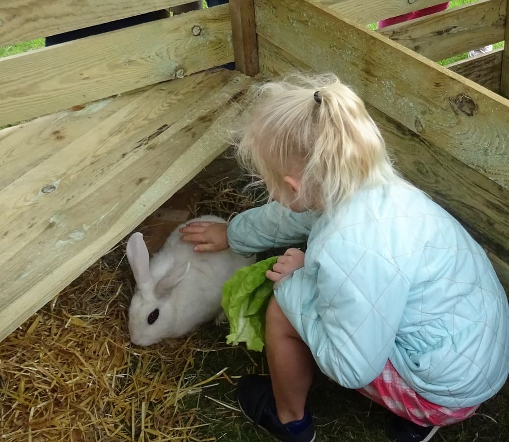 Illustration de l'événement : Visite des animaux - Ferme-musée du Cotentin