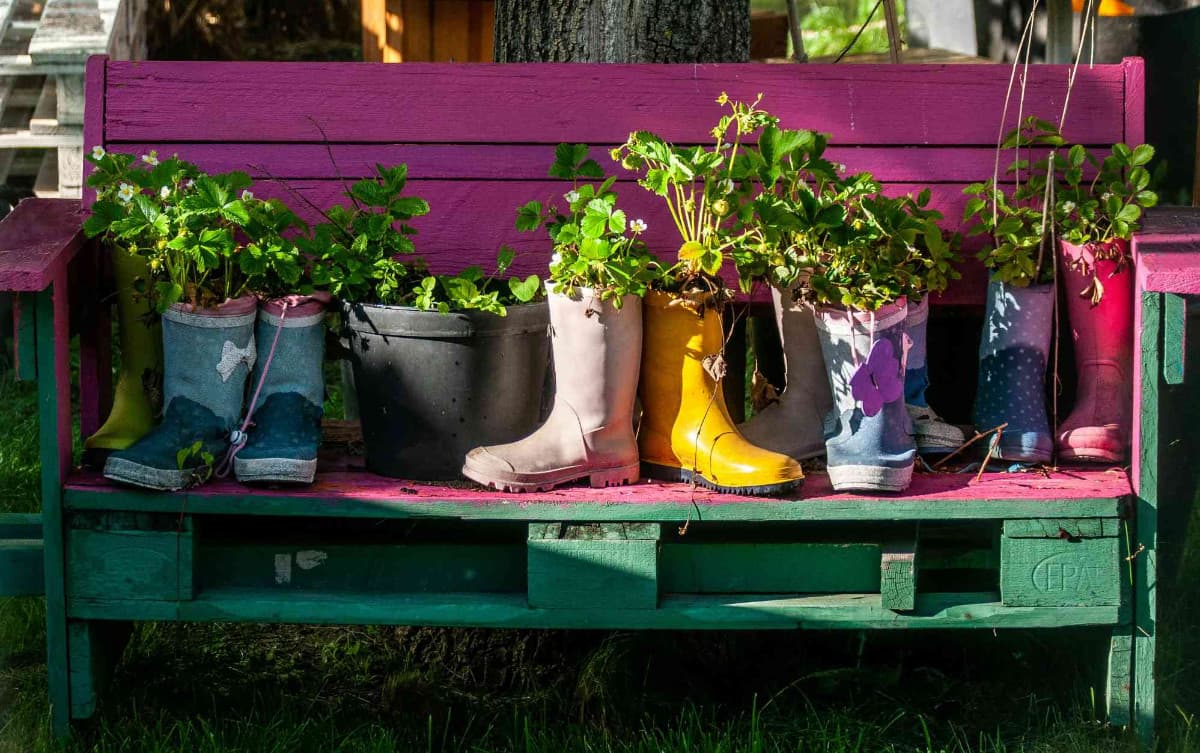 Illustration de l'événement : Un jardin à la médiathèque