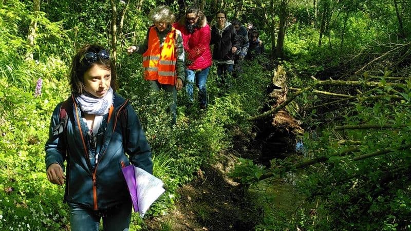 Illustration de l'événement : Histoire du bocage