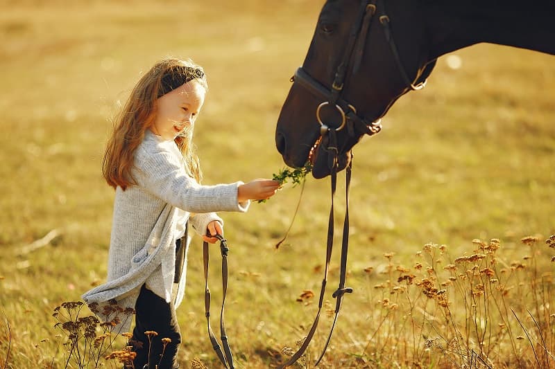 Illustration de l'événement : Cavalier Autrement : balade à poney