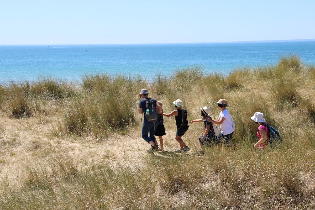 Illustration de l'événement : Sortie nature : Eveil à la nature dans les dunes, spécial 3/6 ans