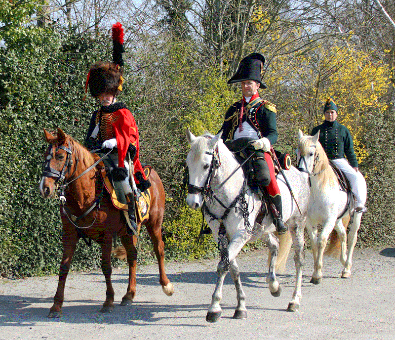 Illustration de l'événement : Military horse - drawn show