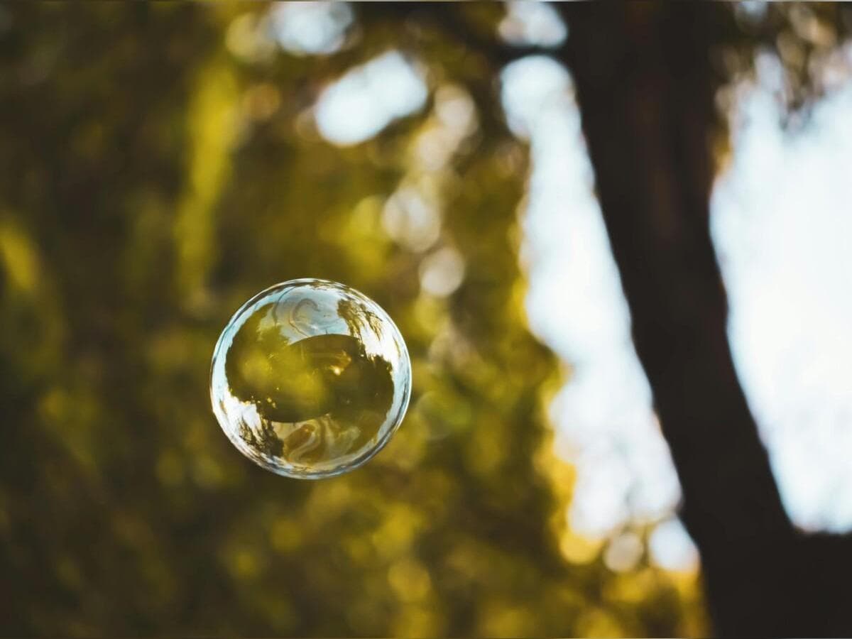 Illustration de l'événement : Séance de sophrologie "Bulle de nature"