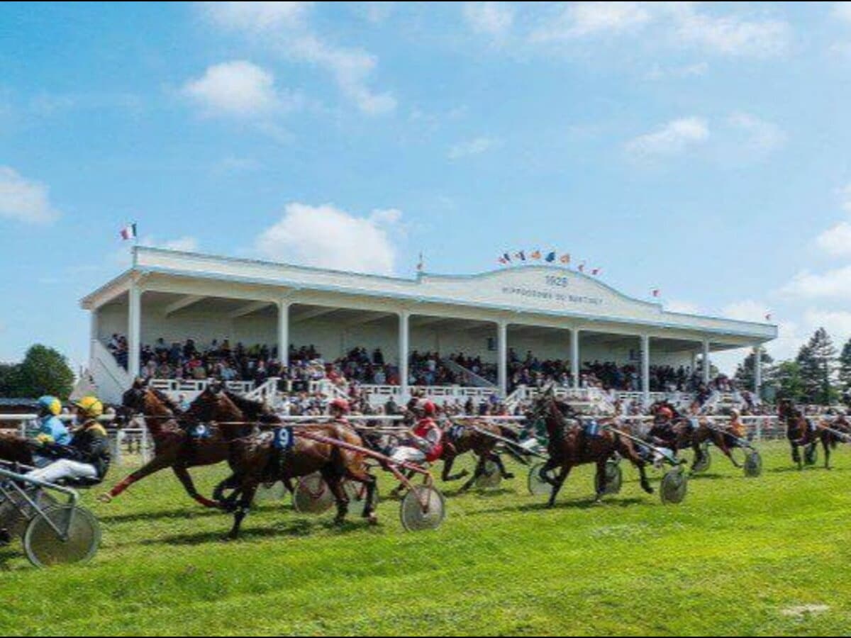 Illustration de l'événement : Courses hippiques : trot attelé