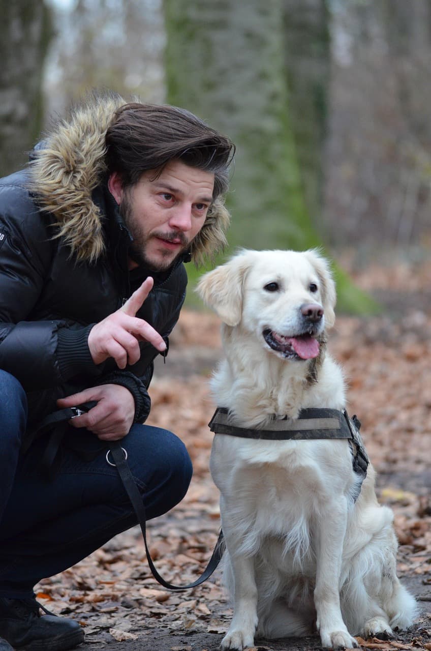 Illustration de l'événement : Promener son chien : Les clés pour comprendre les codes du quotidien.