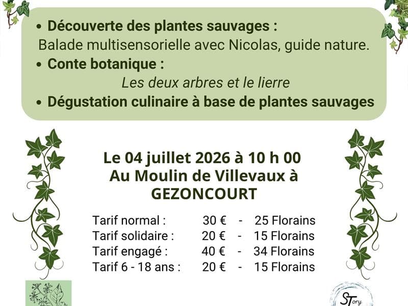 Illustration de l'événement : Balade et Conte Botanique en Petite Suisse Lorraine