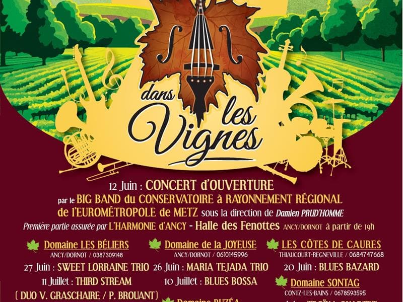 Illustration de l'événement : Jazz dans les vignes - Domaine Sontag