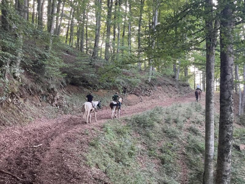 Illustration de l'événement : Deux journées à cheval