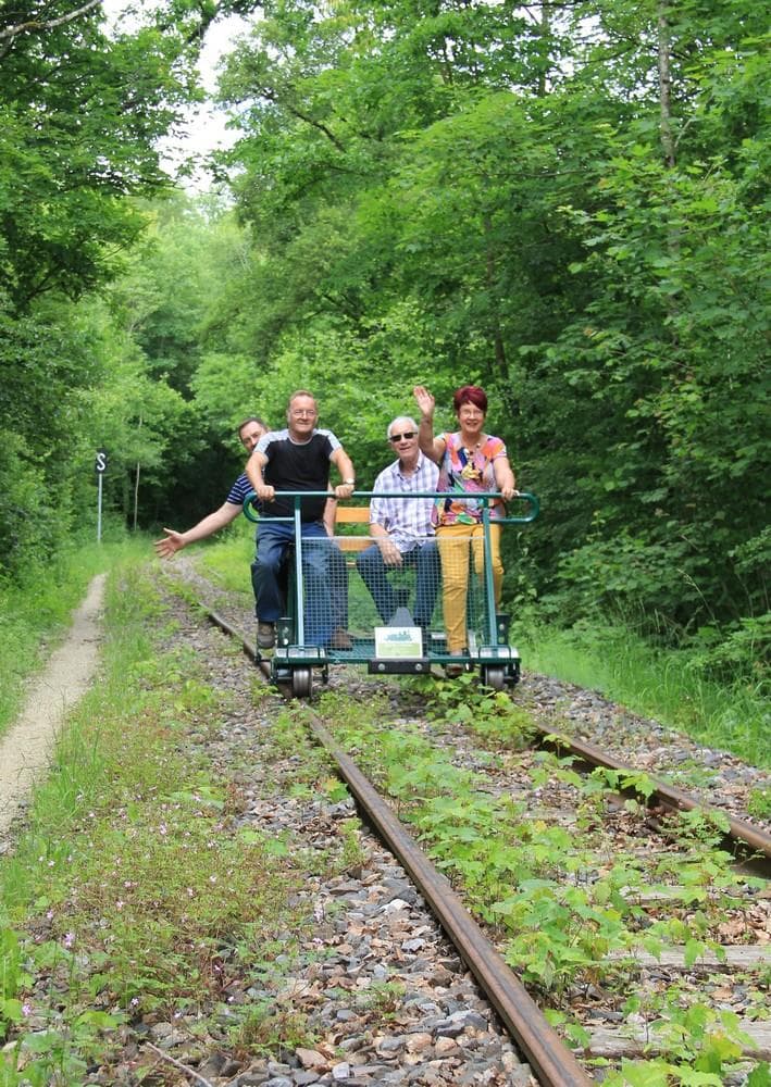 Illustration de l'événement : Vélo-rail en forêt de Massonges