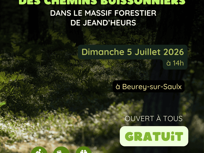 Illustration de l'événement : Animation nature : à l'aventure des chemins buissonniers