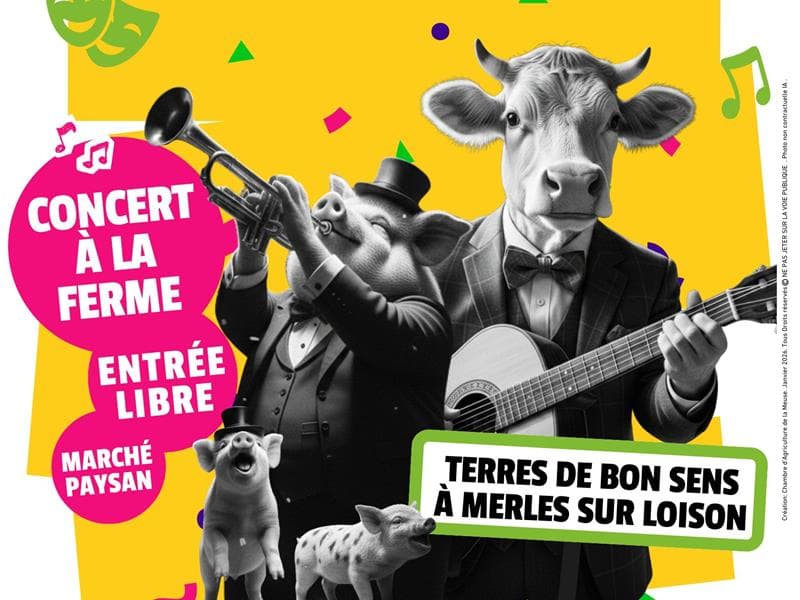 Illustration de l'événement : Terre de Cultures - Concert et marché à la ferme
