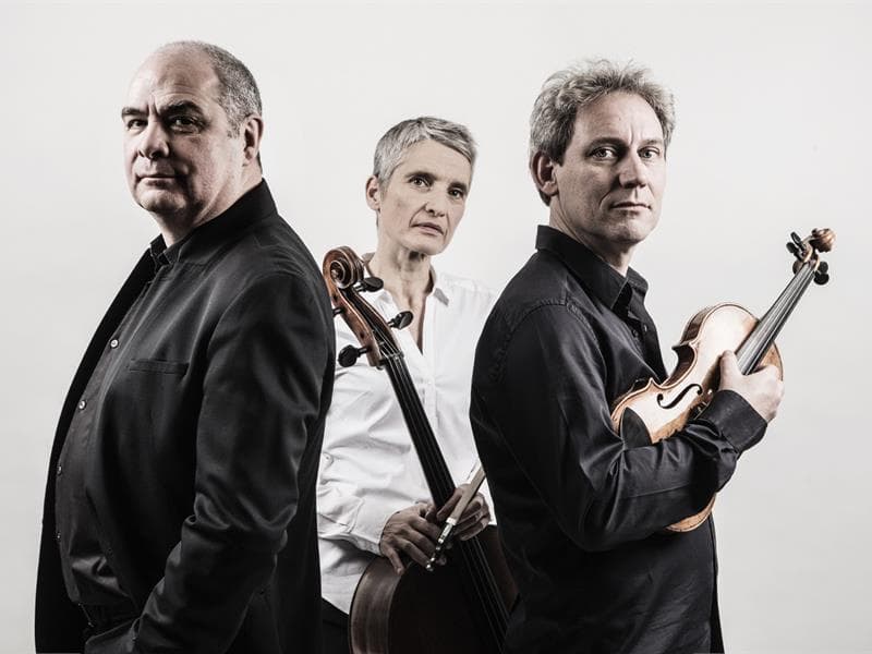 Illustration de l'événement : Concert - Amicalement vôtre : Trios de Beethoven