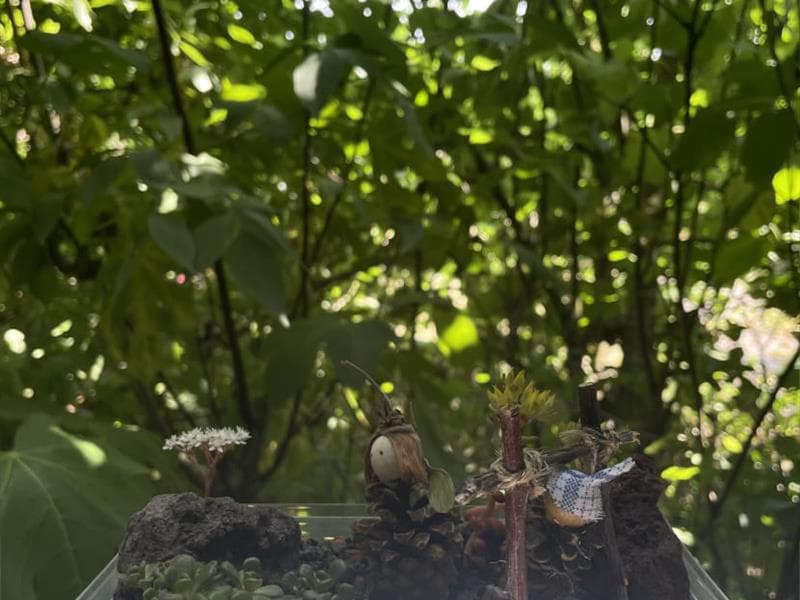 Illustration de l'événement : Atelier enfant 3-6 ans : Mini-jardin