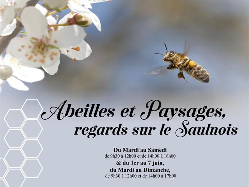 Illustration de l'événement : Exposition - Abeilles et paysages, regards sur le Saulnois