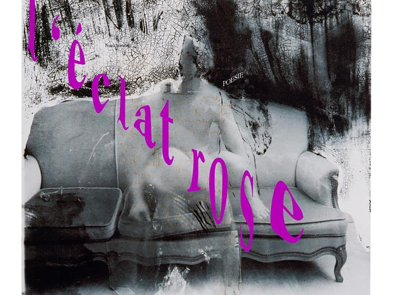 Illustration de l'événement : Lecture : L'éclat rose