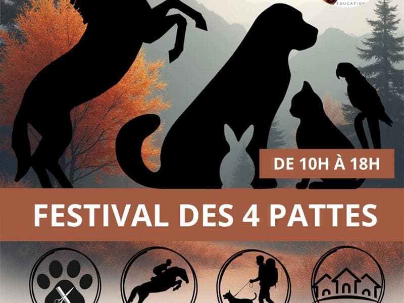 Illustration de l'événement : Festival des 4 Pattes